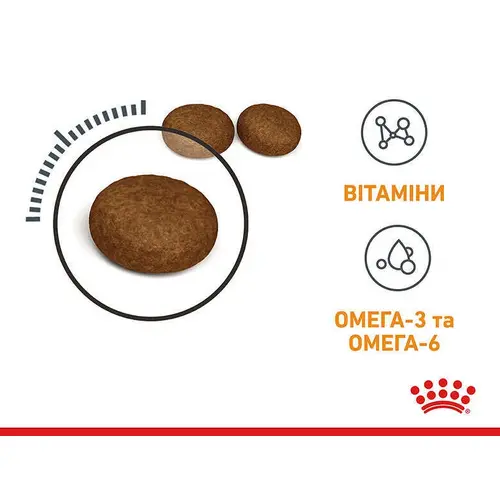 Royal Canin Hair&Skin Care сухий корм для котів для здоров'я шкіри та шерсті 400 г (3182550721721)