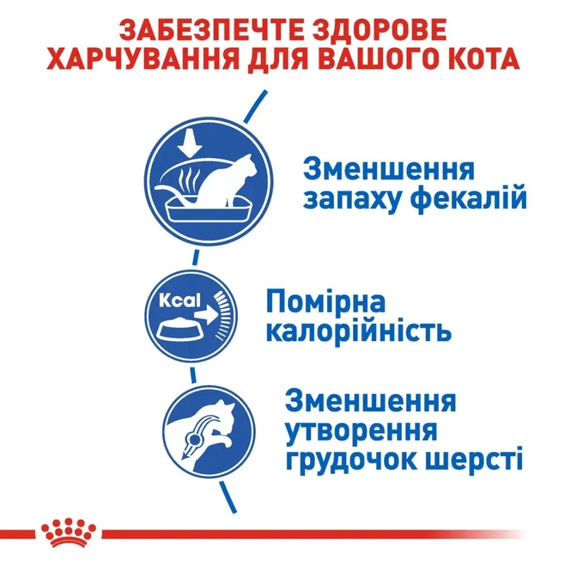Royal Canin Indoor Home Life сухий корм для котів 400 г (3182550704618)  - фото 1