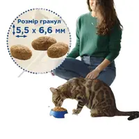 Cat Chow Hairball сухой корм для кошек для вывода шерсти 15 кг - с курицей (5997204514523)  - фото 2