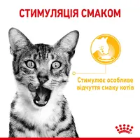 Royal Canin Sensory Taste Gravy ВОЛОГИЙ КОРМ Супер-преміум коти (вибагливі) 85 г  - фото 1