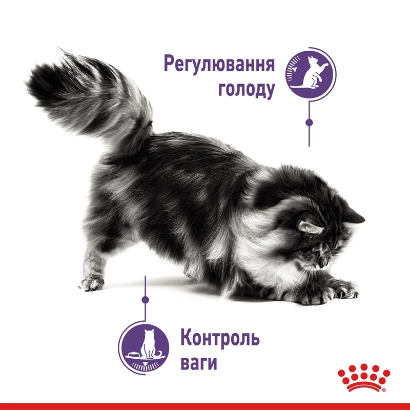 Royal Canin Appetite Control Care ВОЛОГИЙ КОРМ Супер-преміум коти (для контролю апетиту) 85 г  - фото 4