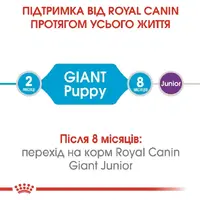 Royal Canin GIANT Puppy СУХИЙ КОРМ Супер-преміум цуценята гігантських порід (з м'ясом) 1 кг  - фото 2