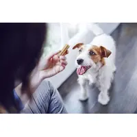 Purina DentaLife Small ЛАСОЩІ Premium собаки (для здоров'я рота) 115 г  - фото 1