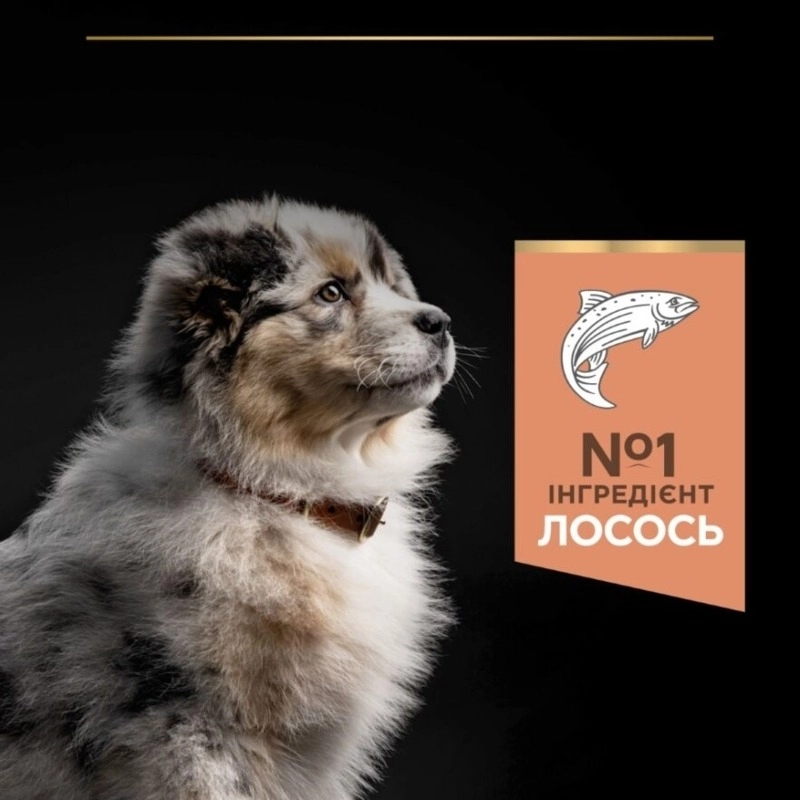Purina Pro Plan Medium Puppy Sensitive Skin СУХИЙ КОРМ Супер-преміум цуценята середніх порід (з лососем) 12 кг  - фото 4