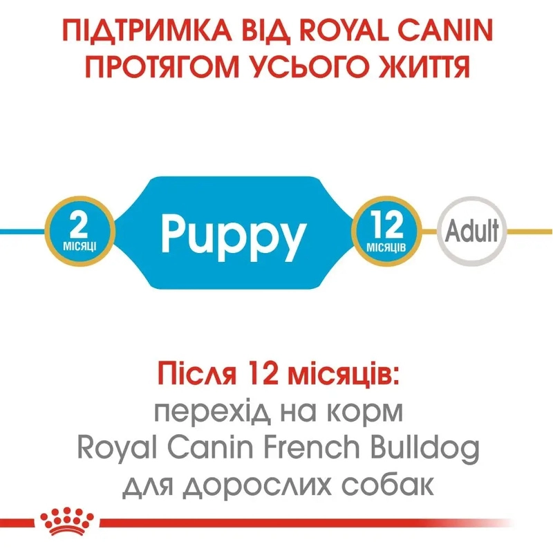 Royal Canin FRENCH BULLDOG Puppy СУХИЙ КОРМ Супер-преміум цуценята породи французький бульдог (з м'ясом) 1 кг  - фото 1
