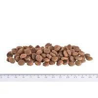 Brit GF VetDiet Renal EGG&PEA сухой корм для кошек при почечной недостаточности 400 г - с яйцом и горохом (8595602528332)  - фото 1