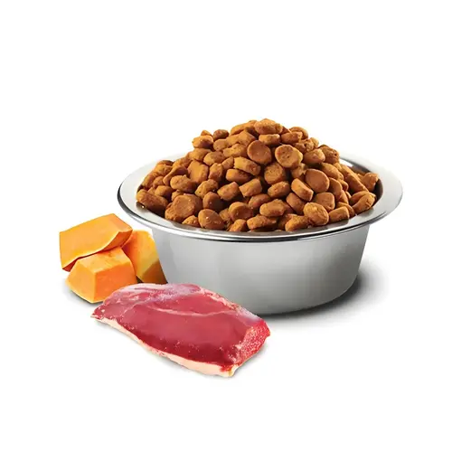 Farmina N&D Pumpkin GF Adult Duck&Cantaloupe сухий корм для котів 300 г - з качкою та гарбузом (8010276035356)