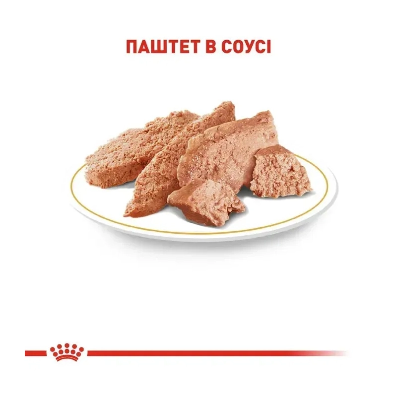 Royal Canin Chihuahua Adult влажный корм для собак 85 г (9003579001516)  - фото 2