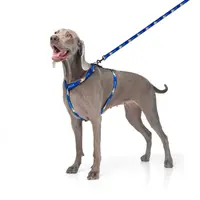 WAUDOG Nylon H-подібна шлея для собак M - з QR-паспортом, з малюнком Прапор, нейлонова (4823089350165)  - фото 1