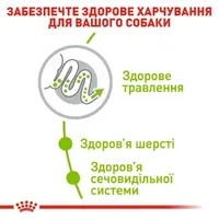 Royal Canin X-SMALL ADULT сухий корм для дорослих собак мініатюрних порід 0.5 кг(3182550793704)  - фото 2