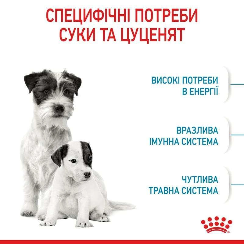 Royal Canin MINI STARTER сухой корм для щенков мелких пород 1 кг(3182550778657)  - фото 2