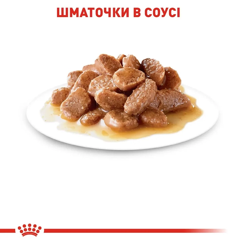 Royal Canin Urinary Care влажный корм для кошек для поддержки здоровья мочевыводящей системы 85 г (9003579000366)  - фото 2