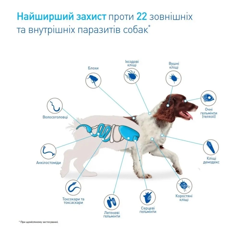 NexGard Spectra L таблетки для собак 1 таблетка - від бліх, кліщів та глистів, 15-30 кг (3661103048602)  - фото 3