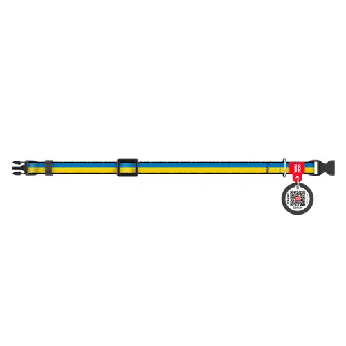 WAUDOG Nylon нашийник для собак XS - з QR паспортом, з малюнком Colors of freedom, нейлоновий (4823089360935)
