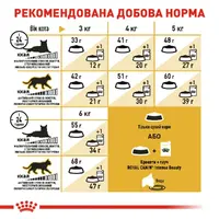 Royal Canin Siamese Adult сухой корм для кошек 400 г (3182550710671)  - фото 4