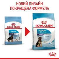 Royal Canin Maxi Puppy СУХИЙ КОРМ Супер-преміум цуценята великих порід (з м'ясом) 4 кг  - фото 6