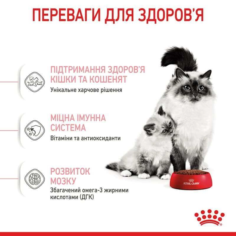 Royal Canin Mother&BabyCat сухий корм для вагітних кішок та кошенят 400 г (3182550707305)  - фото 10