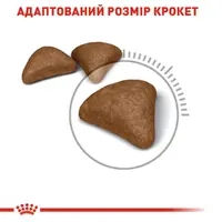 Royal Canin Hairball Care сухий корм для котів 10 кг (3182550721424)  - фото 1