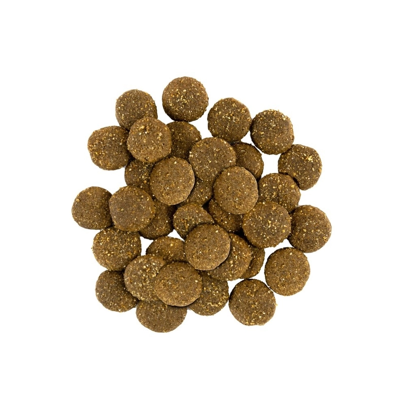 Savory Large Breed Fresh Turkey & Lamb сухий корм для собак великих порід 3 кг - з індичкою та ягням (4820232630235)  - фото 1