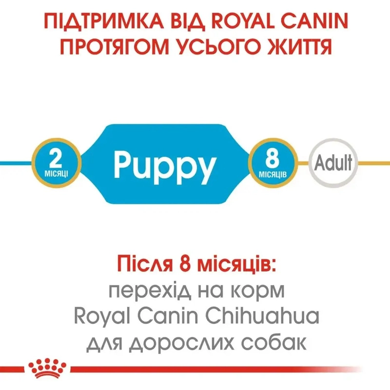 Royal Canin Chihuahua Puppy сухий корм для цуценят породи чихуахуа 500 г (3182550722537)  - фото 2