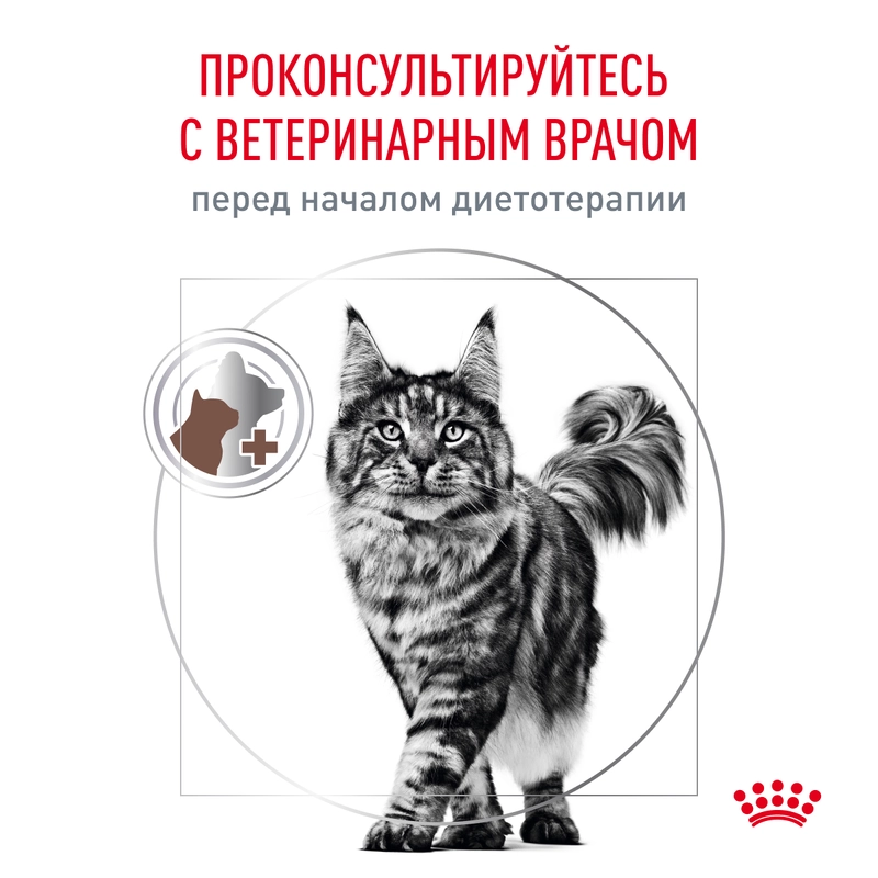 Royal Canin Gastrointestinal Moderate Calorie сухий корм для котів 400 г (3182550771283)  - фото 5