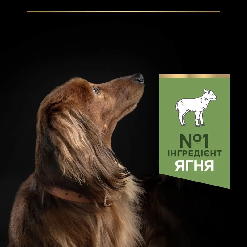 Purina Pro Plan Small & MINI ADULT Sensitive Digestion сухий корм для собак дрібних порід з чутливим травленням 700 г - з ягням (7613036611299)  - фото 2
