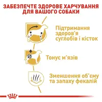 Royal Canin Dachshund Adult сухой корм для собак 1.5 кг (3182550717335)  - фото 1