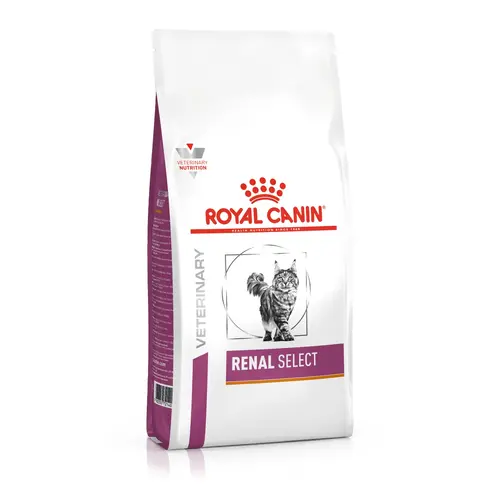 Royal Canin Renal Select сухий корм для котів при захворюваннях нирок 2 кг (3182550842204)