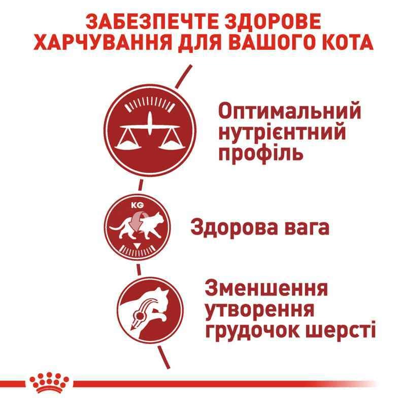 Royal Canin Fit Regular сухой корм для кошек активных 400 г (3182550702157)  - фото 3