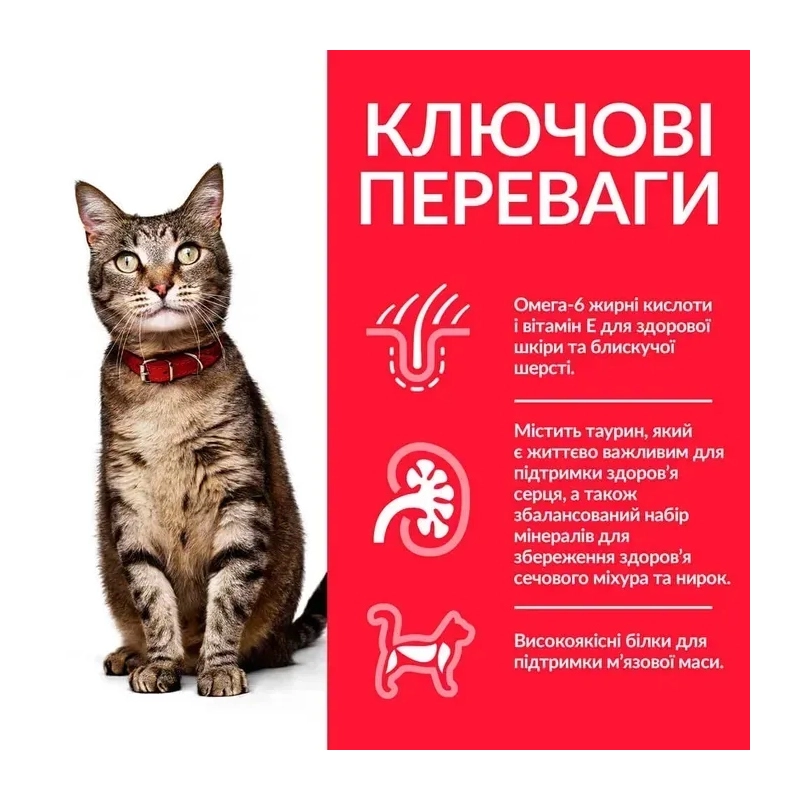 Hill's SP Feline Adult сухой корм для стерилизованных кошек 300 г - с тунцом (052742933801)  - фото 2