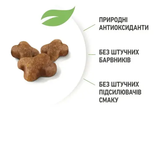 Royal Canin Kitten сухий корм для кошенят 400 г (3182550702379)