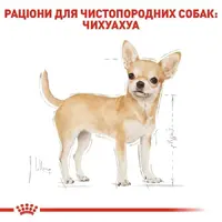 Royal Canin Chihuahua Adult влажный корм для собак 85 г (9003579001516)  - фото 1