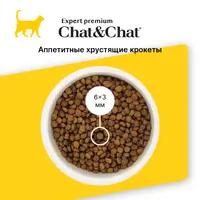 Gheda Chat&Chat Expert сухий корм для кошенят 900 г - з куркою (8001541607767)  - фото 1