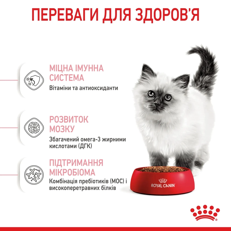 Royal Canin Kitten сухий корм для кошенят 400 г (3182550702379)  - фото 3