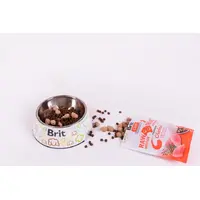 Brit Care Raw Treat Indoor Antistress ЛАСОЩІ Супер-преміум коти (з куркою) 40 г  - фото 1