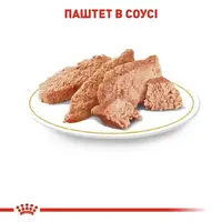Royal Canin Chihuahua Adult влажный корм для собак 85 г (9003579001516)  - фото 2