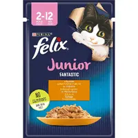 Felix Fantastic Junior ВОЛОГИЙ КОРМ Економ кошенята (з куркою) 85 г  - фото 1