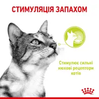 Royal Canin Sensory Smell in Jelly ВОЛОГИЙ КОРМ Супер-преміум коти (cтимулює нюхові рецептори) 85 г  - фото 1
