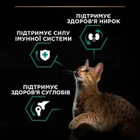 Purina Pro Plan Adult 1+ Renal Plus сухий корм для котів 14 кг - з куркою (7613287887733)  - фото 1