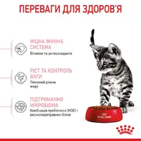 Royal Canin Kitten Sterilised сухий корм для стерилізованих кошенят 400 г (3182550805155)  - фото 2