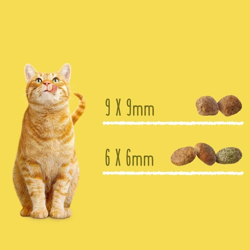 Friskies Sterile сухий корм для стерилізованих котів 10 кг - з лососем та овочами (7613033205064)  - фото 1