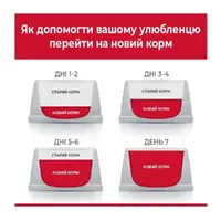 Hill's Science Plan Feline Adult Sterilised СУХИЙ КОРМ Супер-преміум коти (з куркою) 300 г  - фото 3