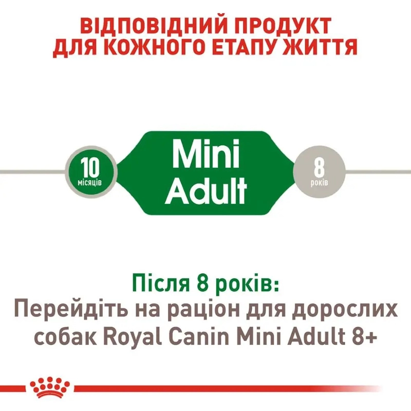 Royal Canin MINI ADULT S сухий корм для собак дрібних порід 2 кг (3182551055696)  - фото 2