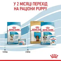 Royal Canin MINI STARTER сухой корм для щенков мелких пород 1 кг(3182550778657)  - фото 4