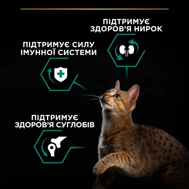 Purina Pro Plan Adult 1+ Renal Plus сухий корм для котів 14 кг - з куркою (7613287887733)  - фото 1