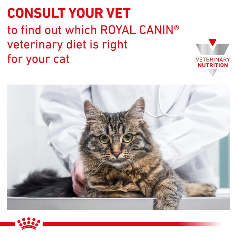 Royal Canin Calm СУХИЙ КОРМ Холістік коти (для заспокоєння) 2 кг  - фото 5