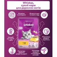 Whiskas сухой корм для кошек 800 г - с курицей (5998749144367)  - фото 1