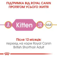 Royal Canin Kitten British Shorthair сухий корм для кошенят 400 г (3182550816526)  - фото 2