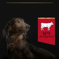 Purina Pro Plan Duo Delice Small & MINI ADULT СУХИЙ КОРМ Супер-преміум собаки дрібних порід (з яловичиною) 2.5 кг  - фото 4