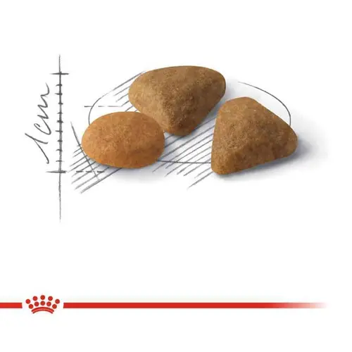 Royal Canin Savour Exigent сухий корм для котів вибагливих до смаку 400 г (3182550717120)